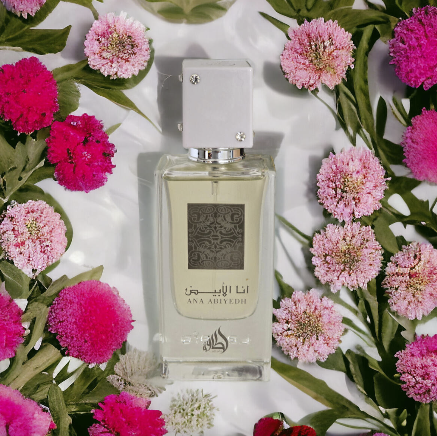 EDP Ana Abiyedh Unisexe - 60ml