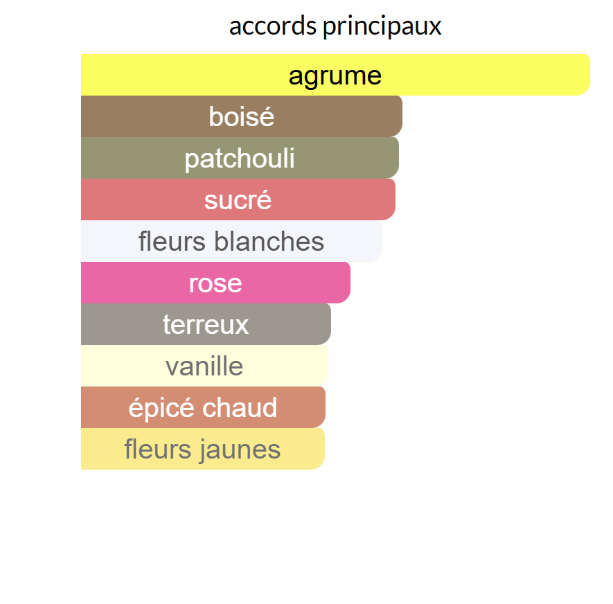 Coco Mademoiselle CHANEL Paris TEster EDP